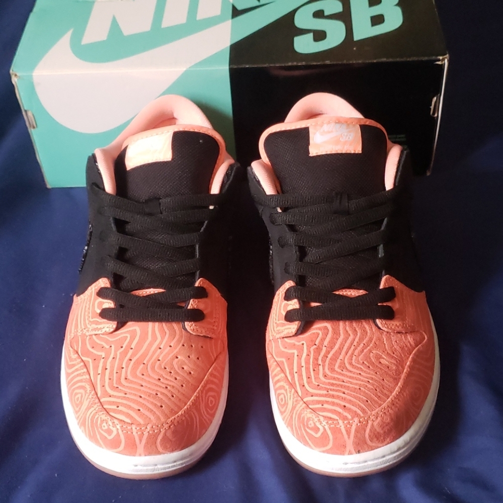 COPY - COPY - Sz.11.5 Nike salmon dunks SB